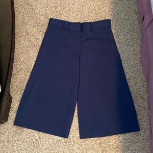 BCBG MazAzria blue gaucho pants